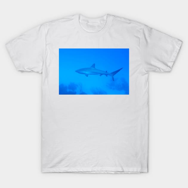 Caribbean Reef Shark T-Shirt by Scubagirlamy